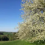 Lortz Reichelsheim