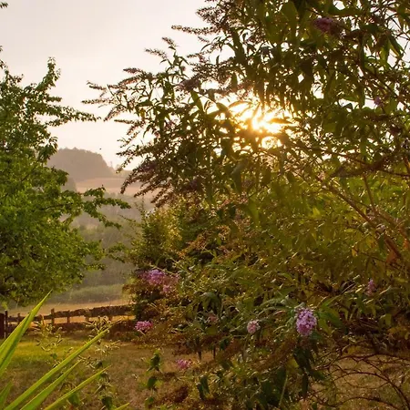 Lortz Ξενοδοχείο