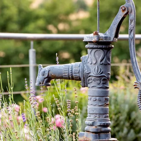 Lortz 3* Reichelsheim