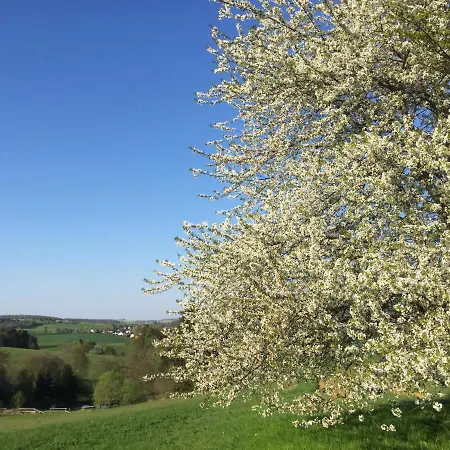 Lortz Reichelsheim