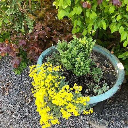 מלון Lortz Reichelsheim