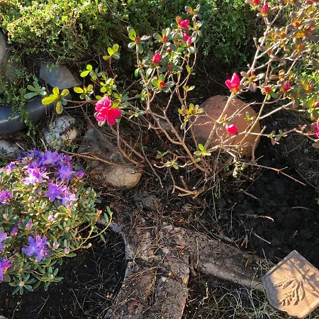 Ξενοδοχείο Lortz