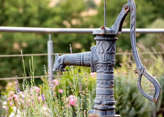 Lortz 3* Reichelsheim