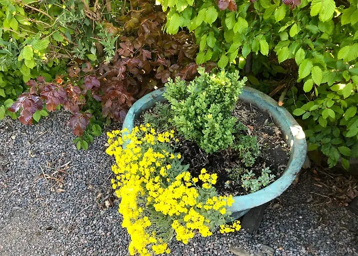 Hotel Lortz Reichelsheim