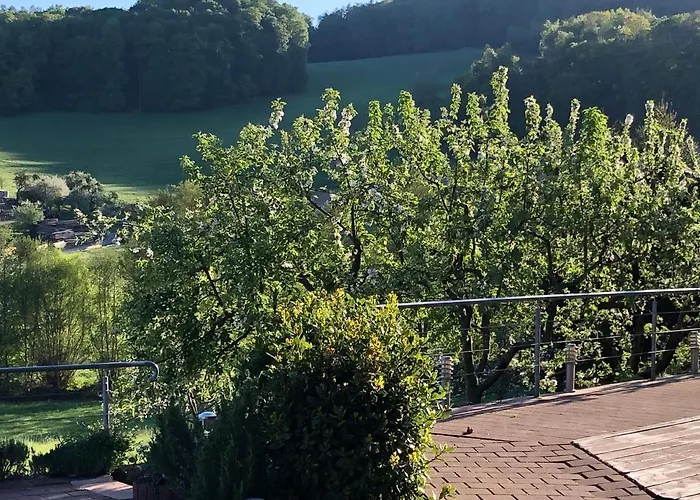 Lortz 3* Reichelsheim